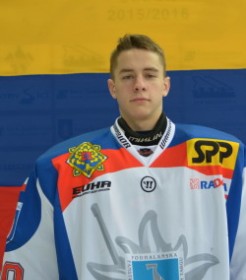 VASILY LAPSHENKOV