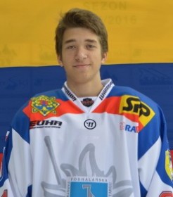 VOLODYMYR VOROPAI